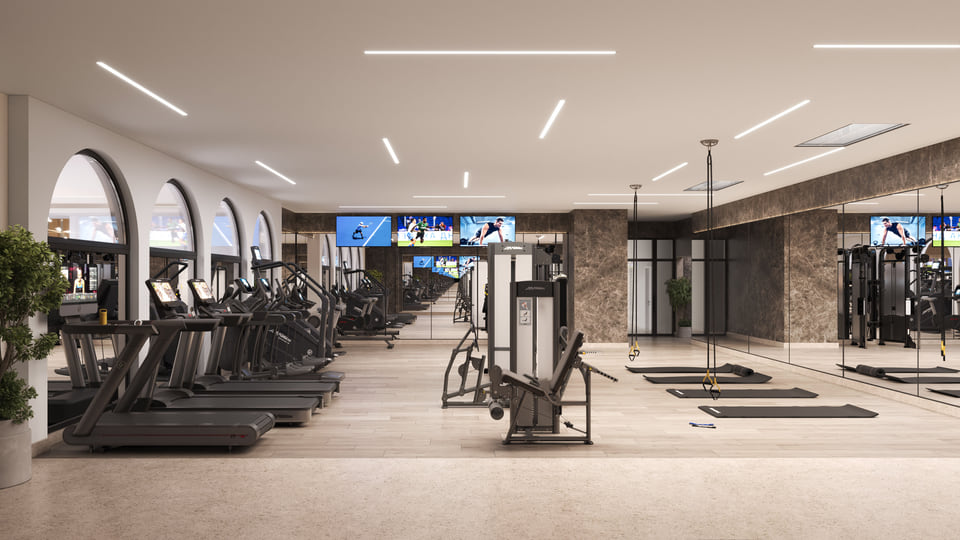 Denizen — Gym